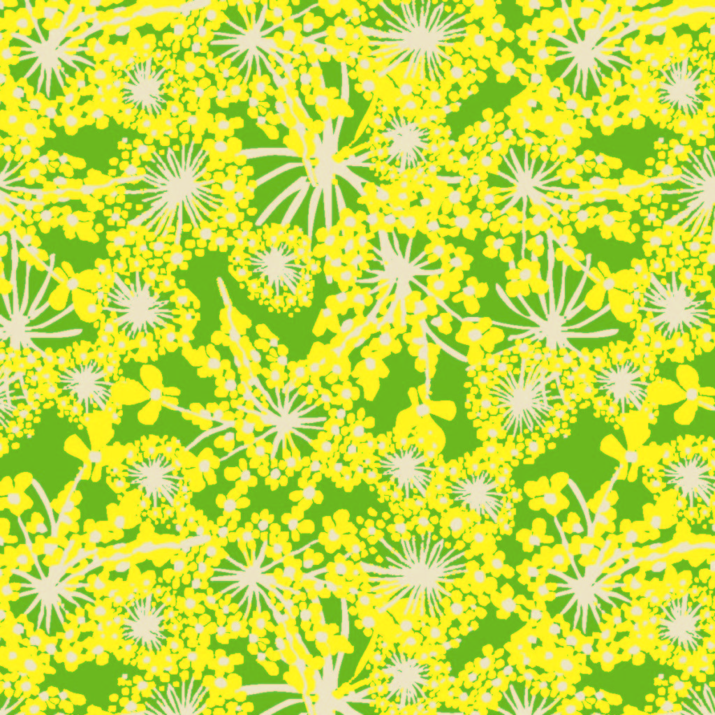 Queen Anne's Lace Flower RWD24-A18, Floral Repeat Pattern Illustration